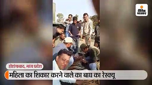 महिला का शिकार करने वाले का बाघ का रेस्क्यू