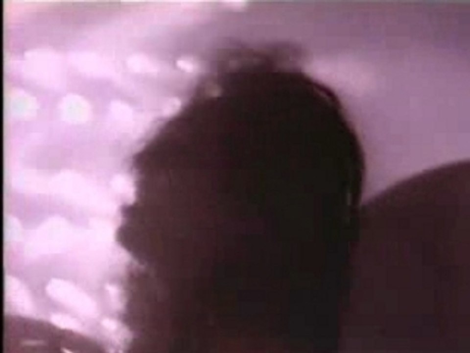 Vixen - Love made me