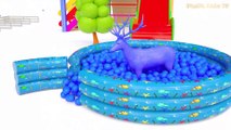 Learn Colors With Animal - Animals Ball Pit Show for Children - Colours With Elephant and Cow for Kids