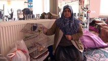 Depremde her şeyini bırakıp kuşlarını kurtardı