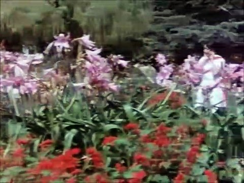 Yeh Zulfon Ki Bikhri Ghata — Asha Bhosle | From Do Aur Do Paanch (Indian Film 1980) — Amitabh Bachchan, Shashi Kapoor, Hema Malini, Parveen Babi, Kader Khan, Shreeram Lagoo, Om Prakash — Indian Movie | Magic | Bollywood | COLLECTOR EDITION | भाषा हिं