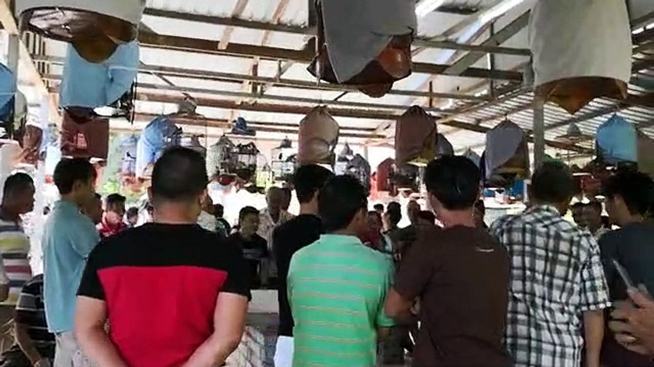 喜鹊交流会