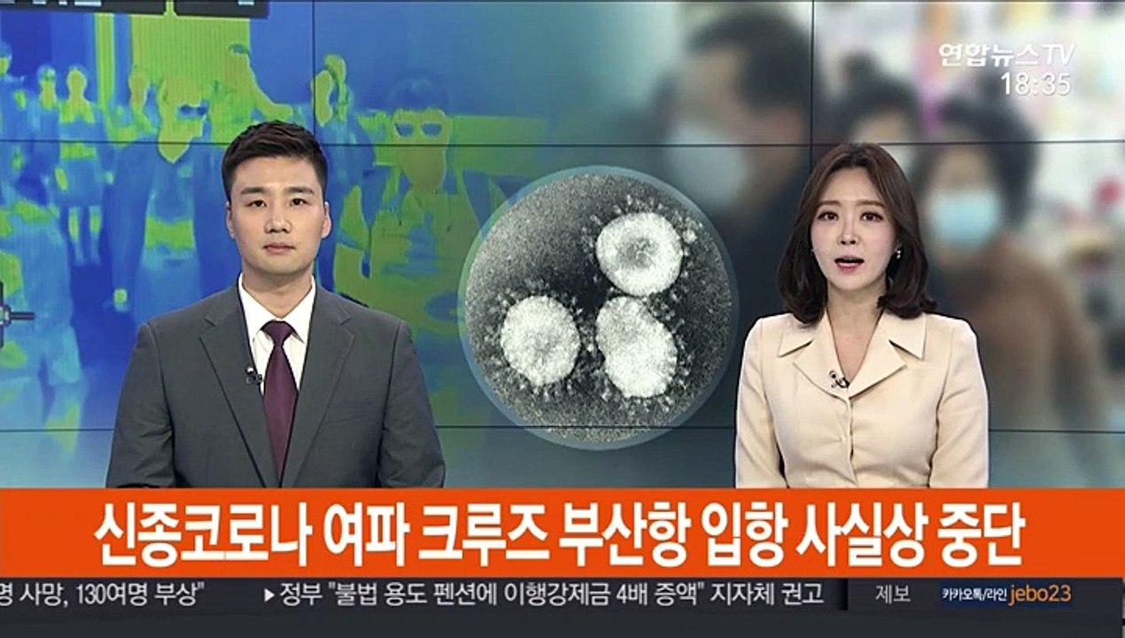 신종코로나 여파 크루즈 부산항 입항 사실상 중단