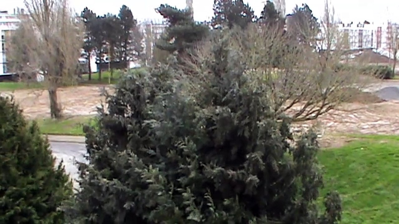 TEMPÊTE CIARA  partie 1.