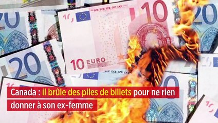 Canada : il brûle des piles de billets pour ne rien donner à son ex-femme