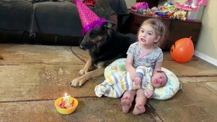 Funniest Baby Fails Moments - Funny Baby Video