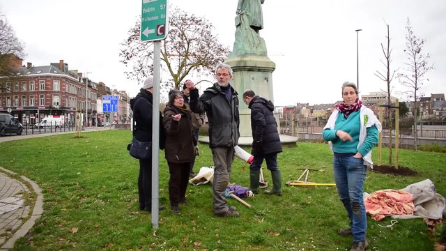 Des militants pour l'environnement plantent des arbres sur un square public à Namur