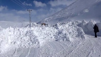 Ulaşıma kapanan yollar açılıyor