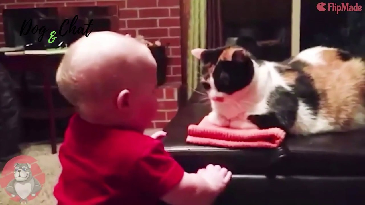 ENFANTS+ANIMAUX-#1-MIGNONS-DOG&CHAT