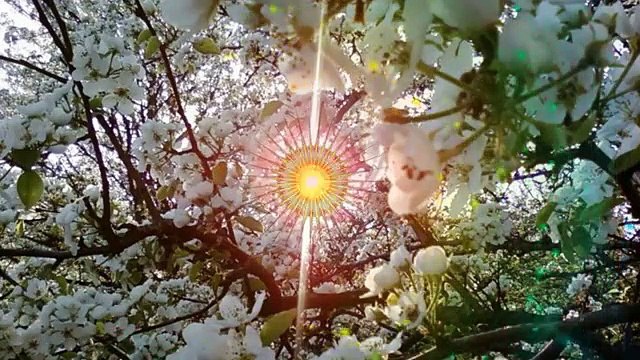 Ты моя любовь. Прекрасная песня