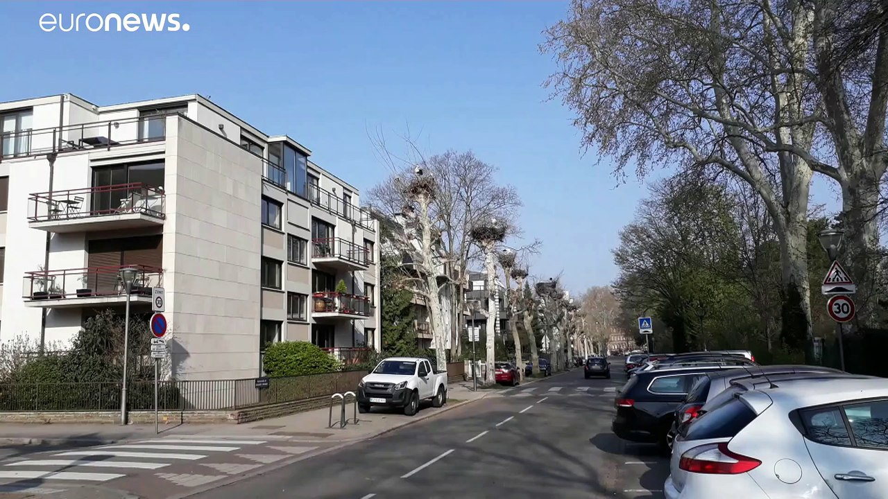 Störche kommen zu früh