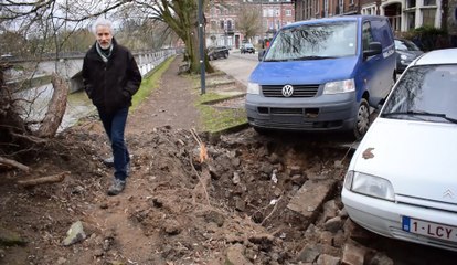 Un arbre s'effondre sur le halage du bord de Sambre à Namur