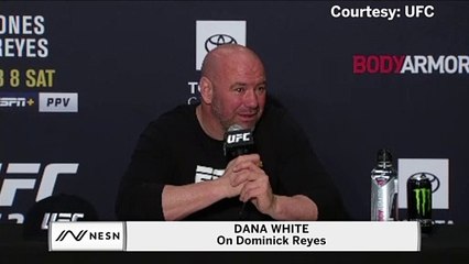 Dana White's Thoughts On Dominick Reyes' Future After UFC 247 Loss