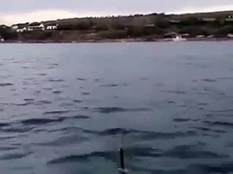 Se baigner dans cette rivière d'afrique du sud peut s'avérer très dangereux