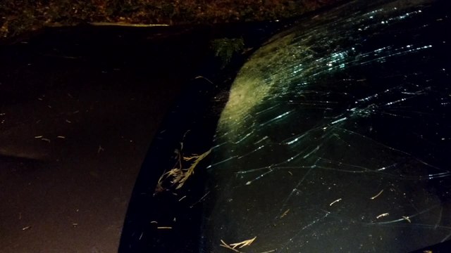 Jurbise/ Ghlin Grosse perurbation..Des arbres sur la route d'Ath et sur des voitures. Vidéo Eric Ghislain