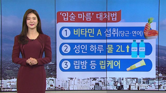[날씨] 오늘 내륙 맑고 큰 추위 없어...점차 미세먼지↑ / YTN