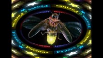 You're really a firefly: Comes out at night, and blink the ass! [Quotes and Poems]