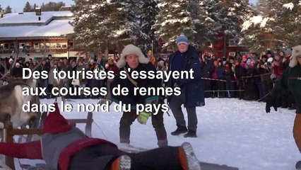 Les touristes s'essayent aux courses de rennes à Jokkmokk, en Suède