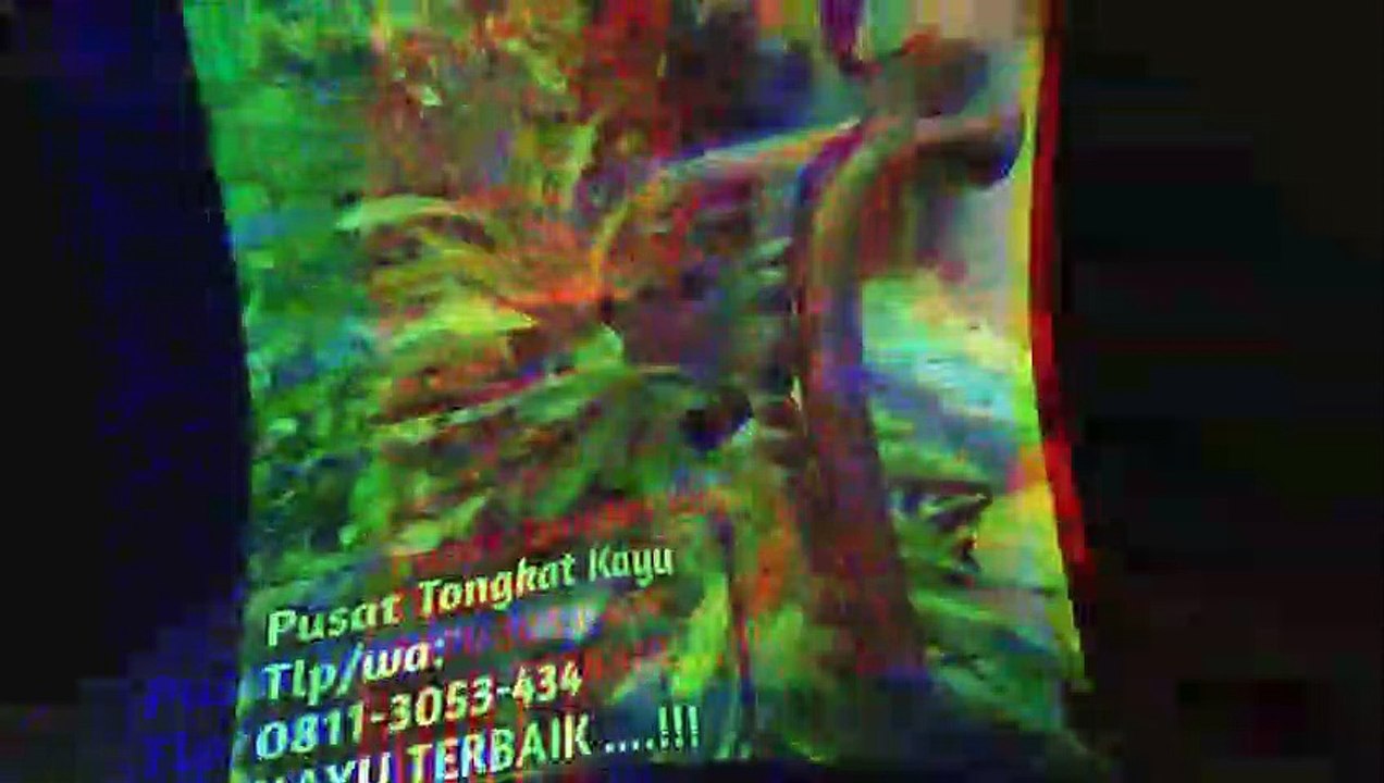 Penjual Tongkat Kayu Ukir Pacitan, Call.0811 3053 434, ORIGINAL…!!