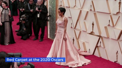 Red Carpet at the 2020 Oscars