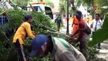 Sampah Disulap Jadi Pupuk Kompos, Pemkot Surabaya Hemat Anggaran 50 Persen!