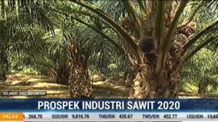 Industri Sawit Masih Prospektif di 2020