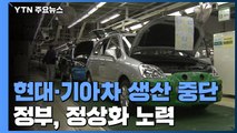 현대·기아차 생산 중단...정부, 中 공장 정상화 총력 / YTN