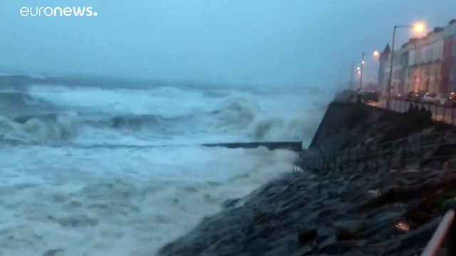 Киара пришла на континент