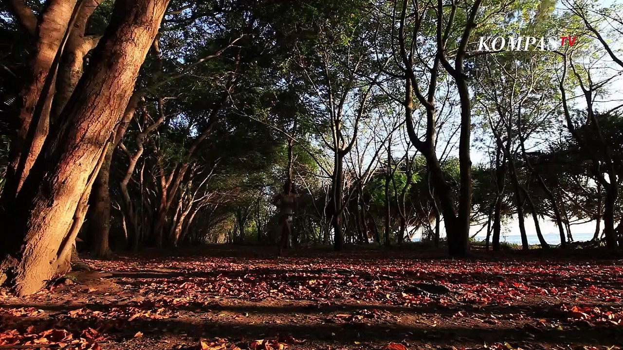 SNORKELING DI GILI NANGGU