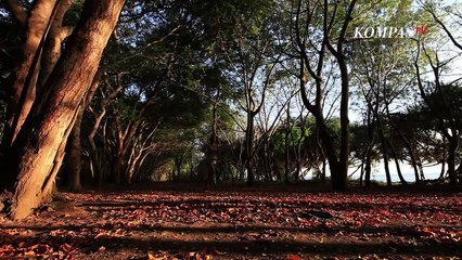 SNORKELING DI GILI NANGGU