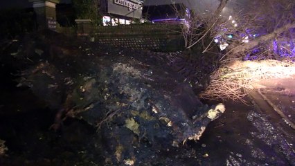 The Street Rustington -TREE DOWN