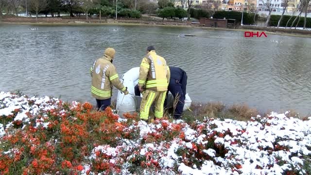 Gölette mahsur kalan martıyı itfaiye ekipleri kurtardı