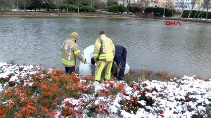 Gölette mahsur kalan martıyı itfaiye ekipleri kurtardı