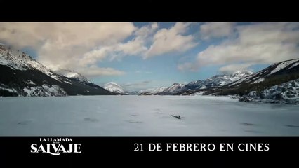 LA LLAMADA DE LO SALVAJE Película - Oro