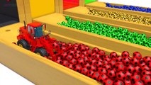 Learn Colors With Animal - Learn Colors With Soccer Balls Invisible Bottle  - Wooden Hammer Xylophone for Kids