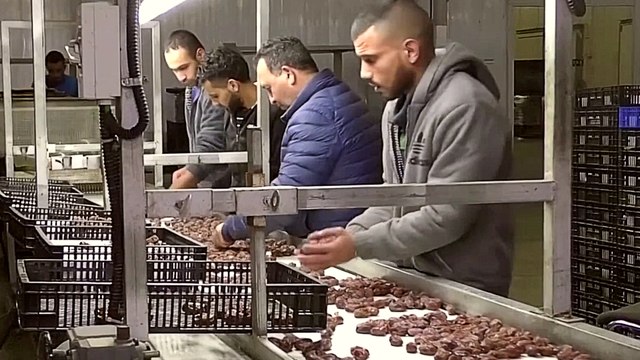 Israel blocks Palestinian agricultural exports via Jordan