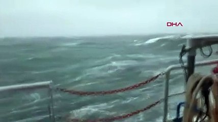 İngitlere'de Ciara fırtınası hayatı olumsuz etkiledi