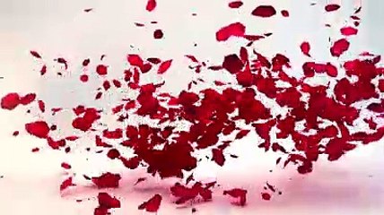 Valentine's Day with the Special Package at Ragamaya Resort & Spa