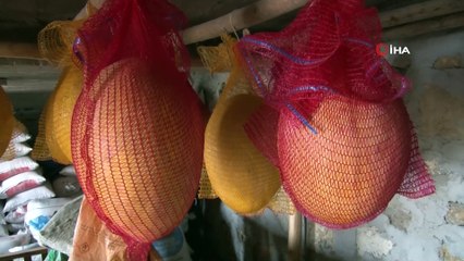 Yazın sakladıkları kavunları kışın tüketiyorlar