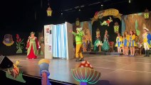 Sarreguemines : la première Kappensitzung de la Société carnavalesque lance la saison