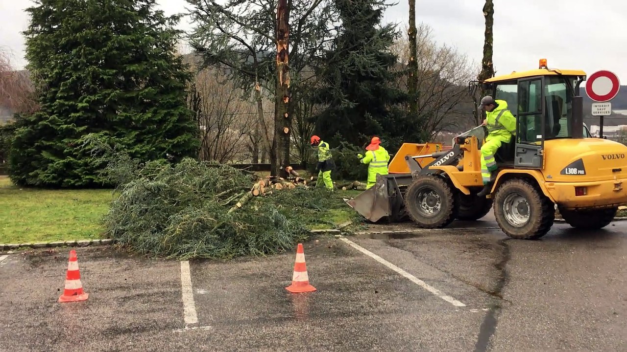 Vidéo. Un arbre victime de la tempête Ciara derrière la mairie de Saint-Etienne-lès-Remiremont