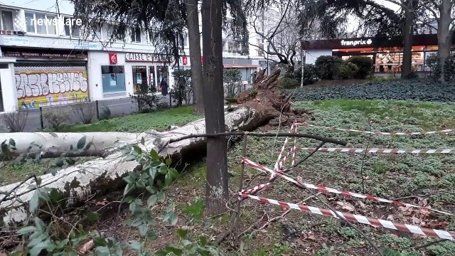 Paris streets littered with fallen trees and debris as Storm Ciara batters northern Europe