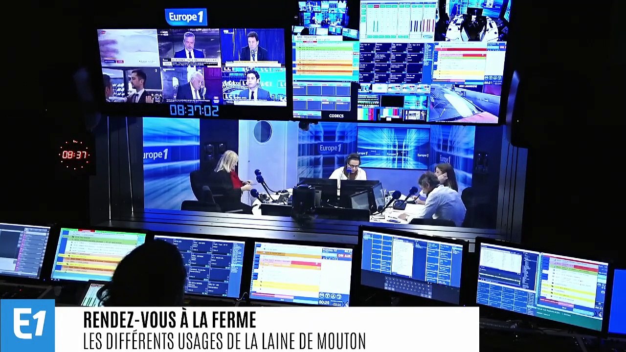 Les usages insoupçonnés de la laine de mouton