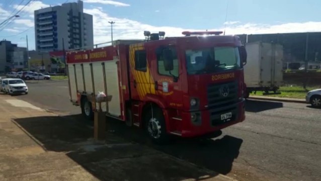 Bombeiros realizam corte de árvore no Parque São Paulo