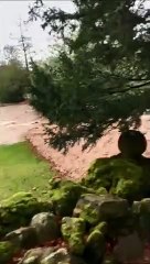 VIDEO: Storm Ciara hits Fountains Abbey and Studley Royal World Heritage Site