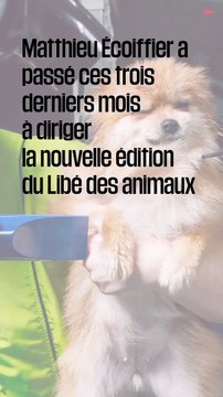 Coulisses du Libé des animaux