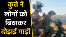 Dog ने दो लोगों को बिठाकर दौड़ाई Bike, देखते रह गए लोग, Watch Viral Video | वनइंडिया हिंदी