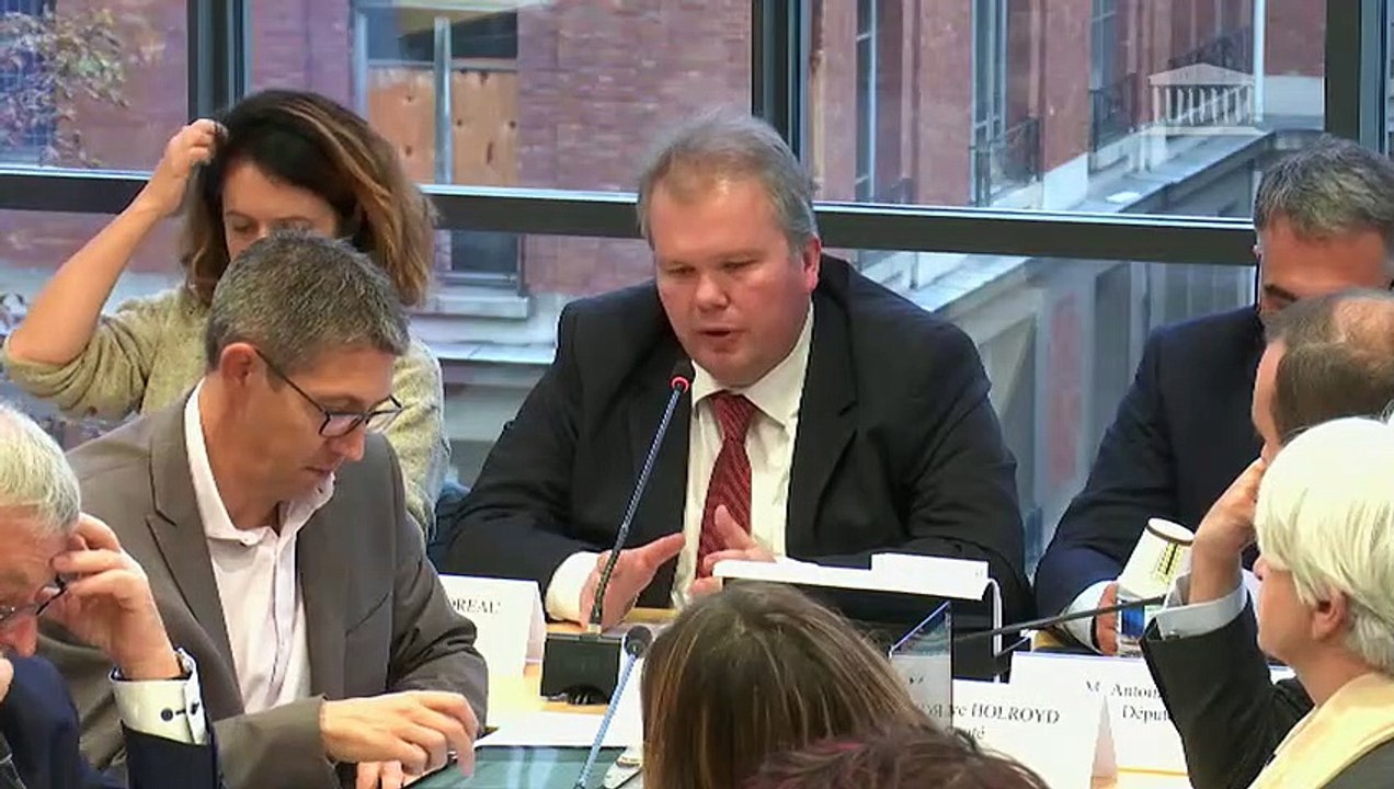 Commission des affaires européennes : Affaires européennes du Sénat et délégation française au Parlement européen  - Mercredi 30 octobre 2019