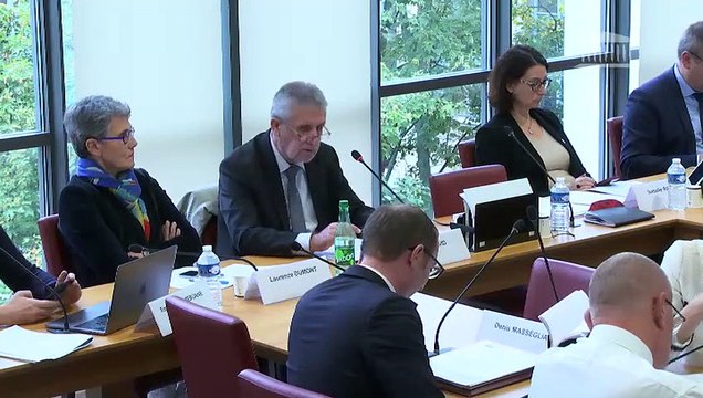 Commission des affaires étrangères : Missions « Action extérieure de l'État » et « Aide publique au développement » (PLF 2020) - Mercredi 30 octobre 2019