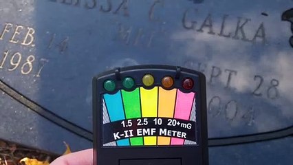 Seeing Is Believing In Granby